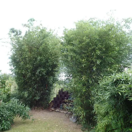 Haus Lebensart Bansin Neu Sallenthin